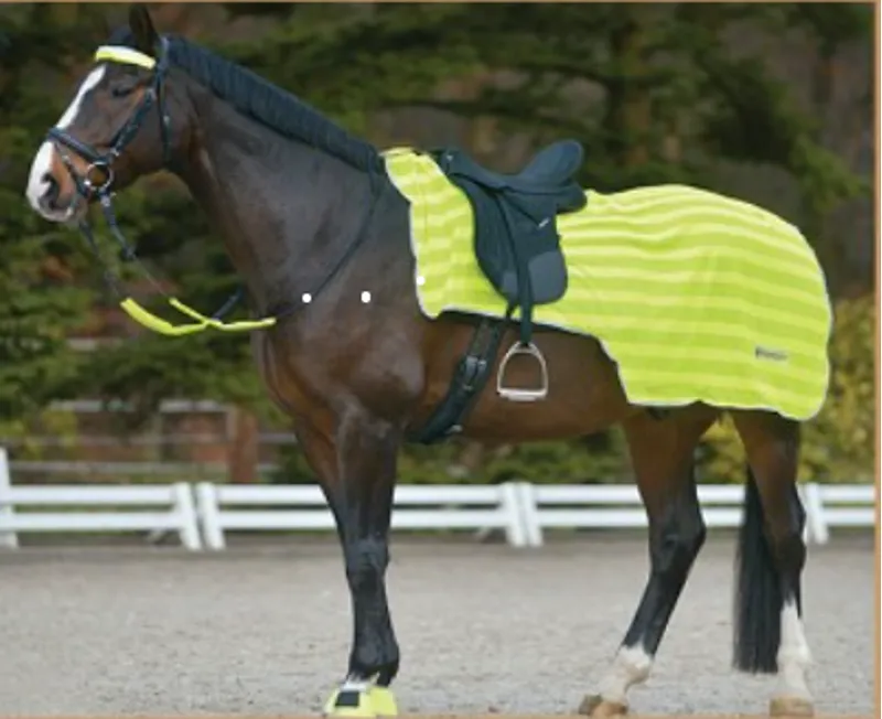 Waldhausen Hi Viz Summer Exercise Sheet Reflex With Lightstripes Neon Yellow